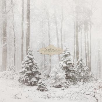 Backdrop-Weihnachten-2023016