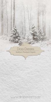 weihnachtsbackdrop-dropdreams-2023017