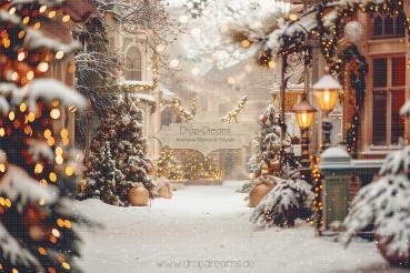Winterbackdrops-2024002