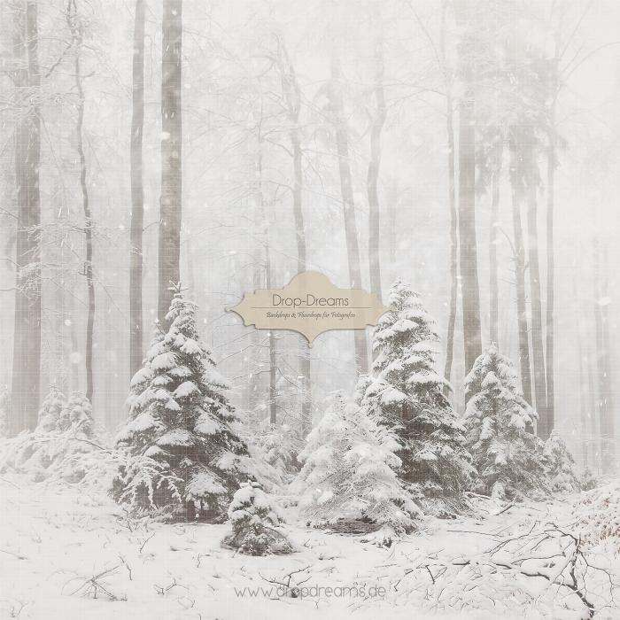 Backdrop-Weihnachten-2023016
