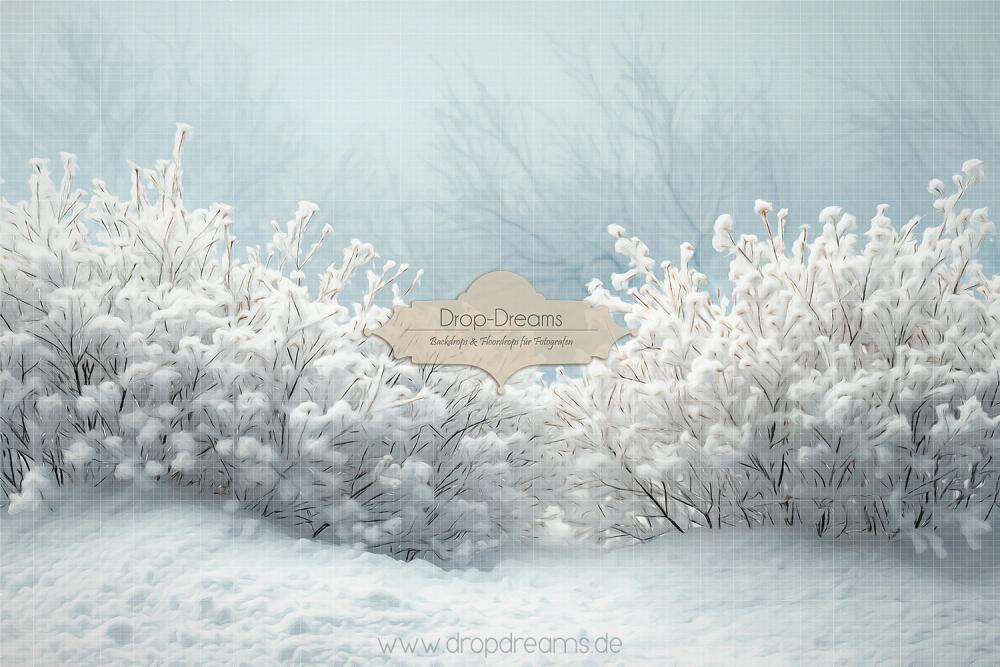 Fotohintergrund-Winter-Dropdreams-2024036r