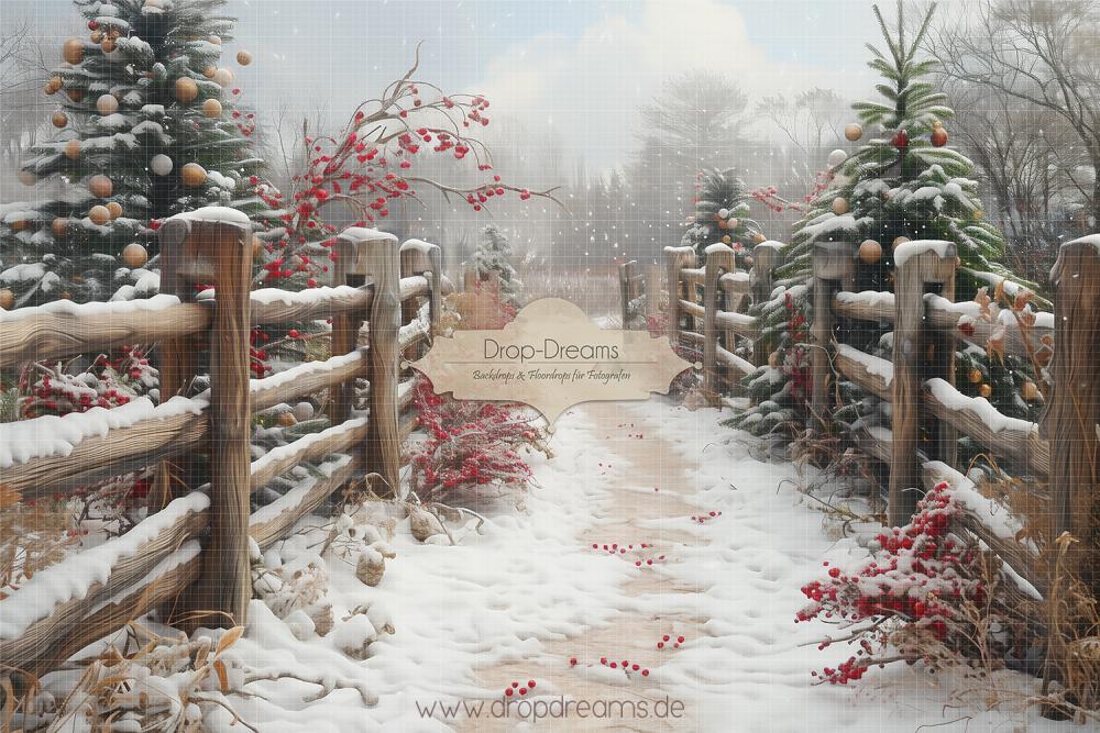 Fotohintergrund-winter-2024049r